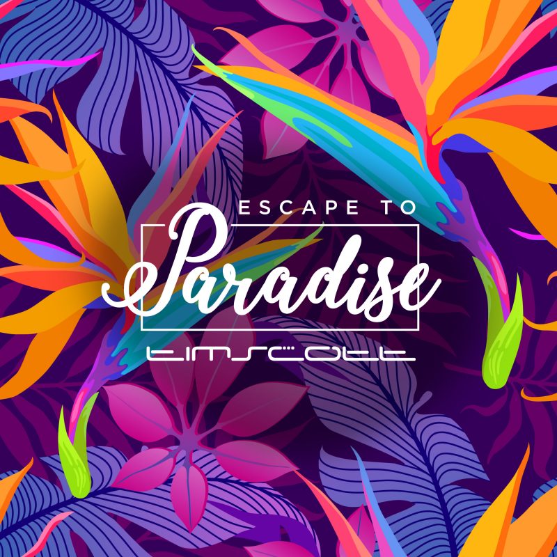 Une « Escape to Paradise » façon 80’s avec Tim Scott