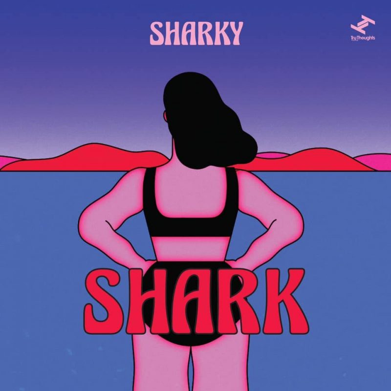 découvrez « Shark » une belle pause musicale signée Sharky