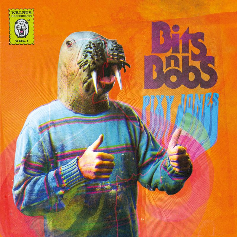 Album Dream Pop Rock avec Pixy Jones sur « Bits n Bobs »