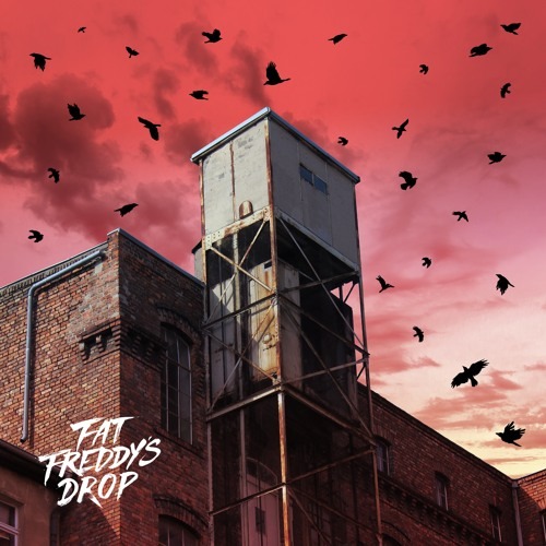 Le remix captivant de Marcus Worgull : une nouvelle envolée pour « Blackbird » de Fat Freddy’s Drop