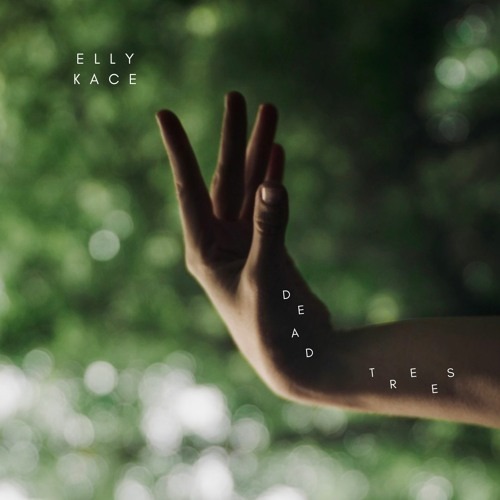 Élégance musicale : Découverte de la chanson « Dead Trees » d’Elly Kace
