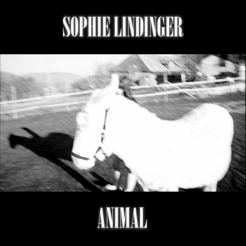 Sophie Lindinger Réinvente « Animal » avec Éclat