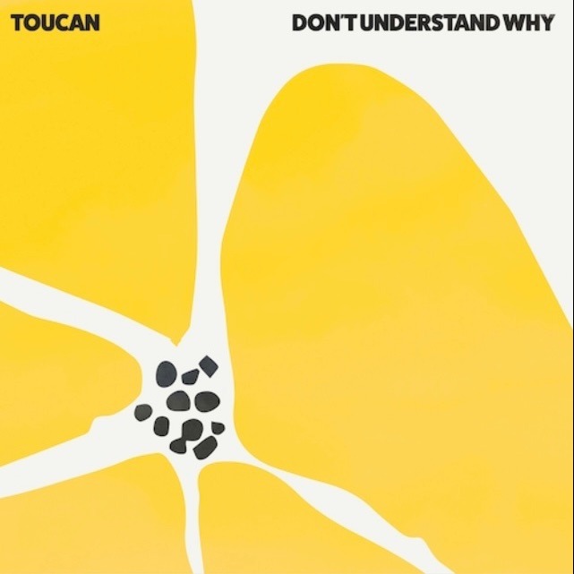 « Don’t Understand Why » par Toucan : Une belle pause musicale soul et de pop