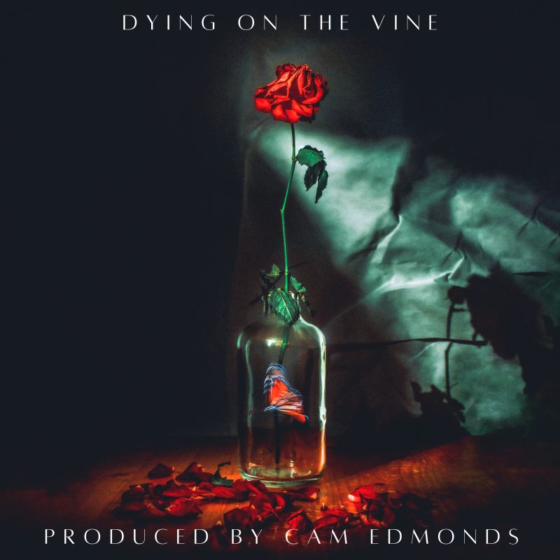 Cam Edmonds dévoile sa chanson émouvante “Dying On The Vine”