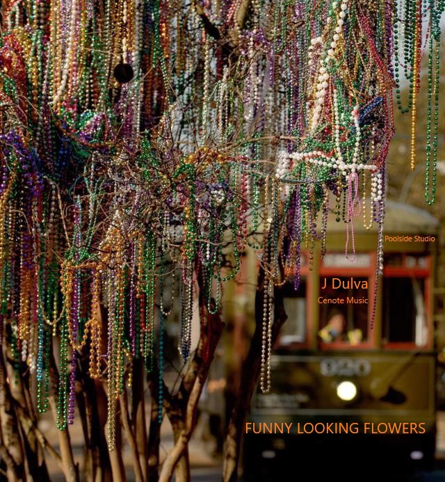 « Funny Looking Flowers » : L’album éclectique de J Dulva