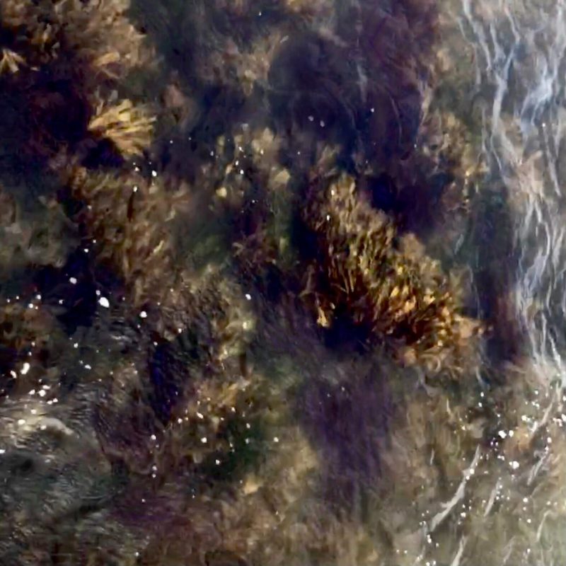 Fie Eike explore les abysses du subconscient avec « Deep End »