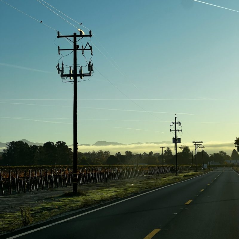 Stefan J. Selbert : La Nostalgie Douce-Amère de ‘Sugar Peas’ Réchauffe l’Alt-Country