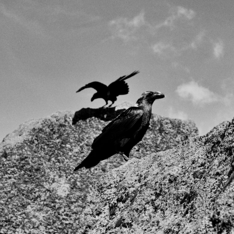 Darkstates et Clara Pople unissent leurs talents sur ‘Rest My Hands’ : entre électro et soul