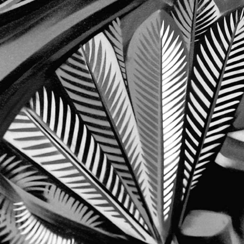 « Slo Mo » : La Nouvelle Oeuvre Funk de Fat Freddy’s Drop