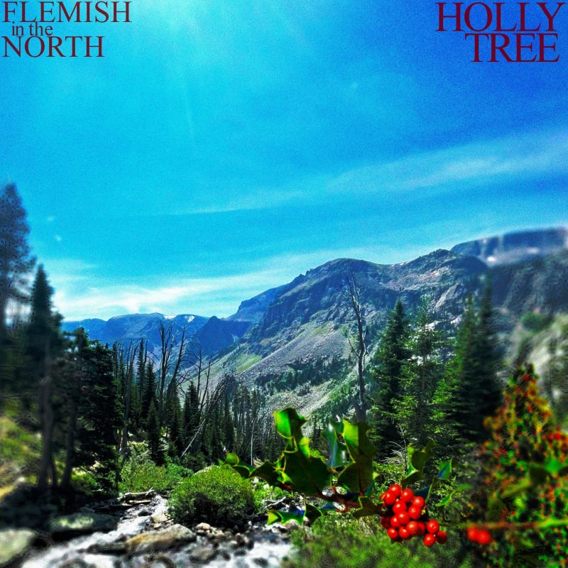 Flemish in the North : Un Voyage Émotionnel avec « Holly Tree »