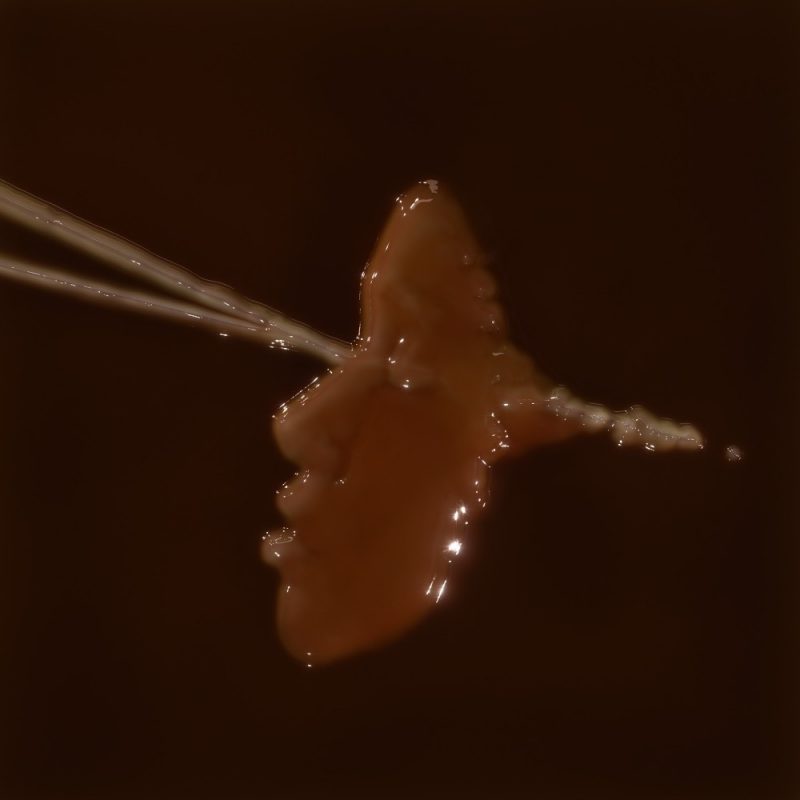 ROZET libère son énergie brute avec ‘Eat’, un hymne à la confiance