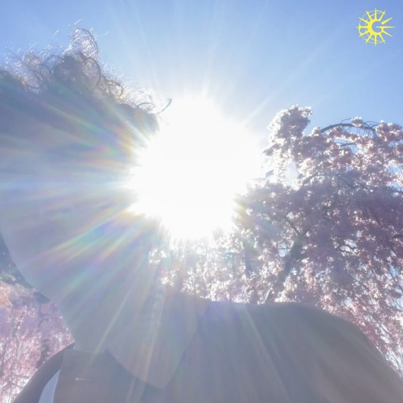 « Field Day » de Country Girl : une échappée onirique entre rêve d’été et mélancolie lo-fi