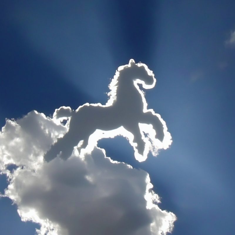 Giorgio Fazio dévoile « No One Should Ever Die » : une immersion nostalgique et émotionnelle