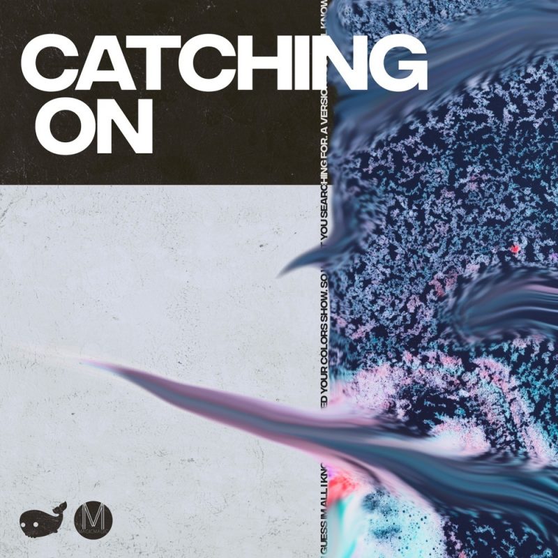 « Catching On » de Bronze Whale : Une exploration musicale entre créativité spontanée et introspection sincère