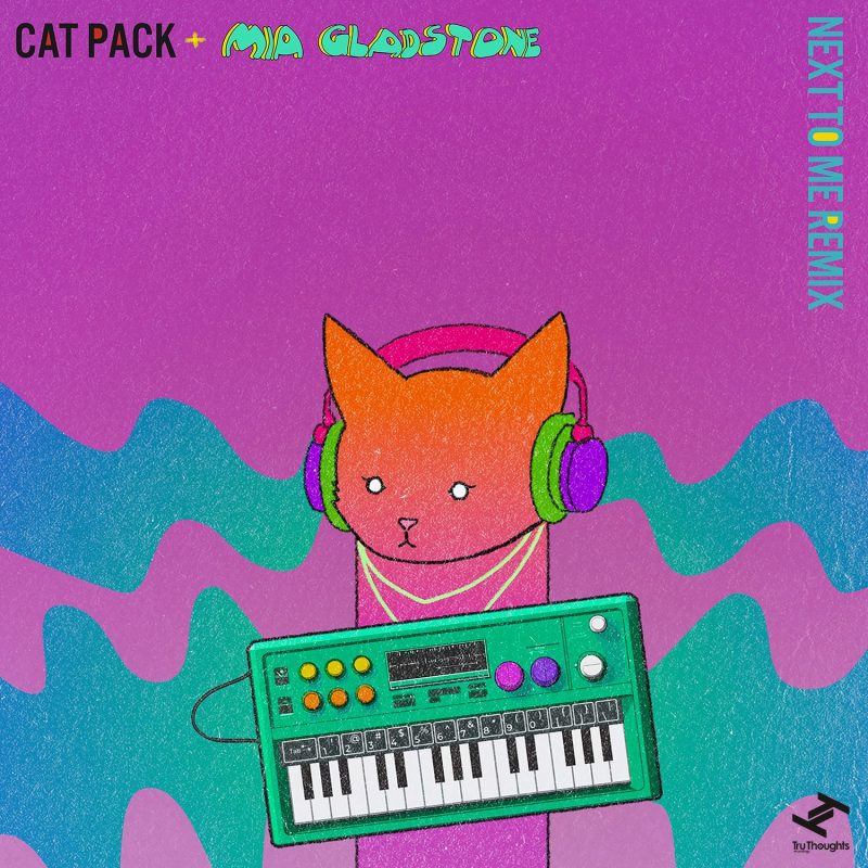 Catpack et MIA GLADSTONE : une collaboration féline sur  le remix de « Next To Me »