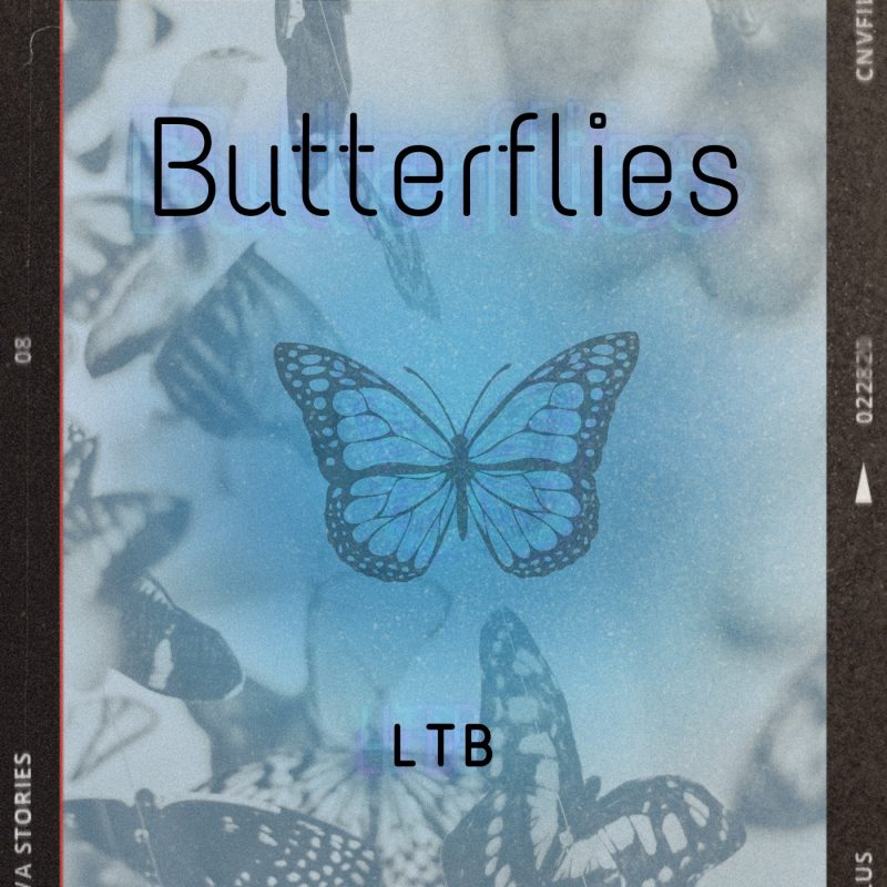 LTB nous transporte avec « Butterflies » : un reflet mélancolique de l’amour et de la trahison