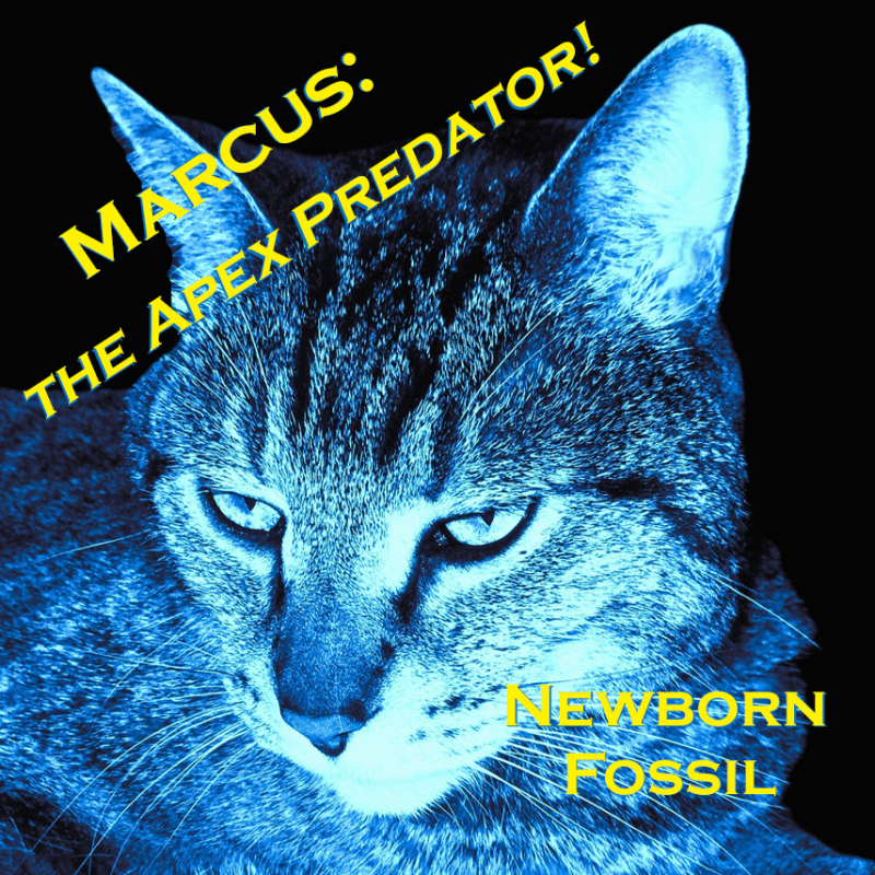 Marcus: the Apex Predator! ranime les braises du rock avec « Newborn Fossil »