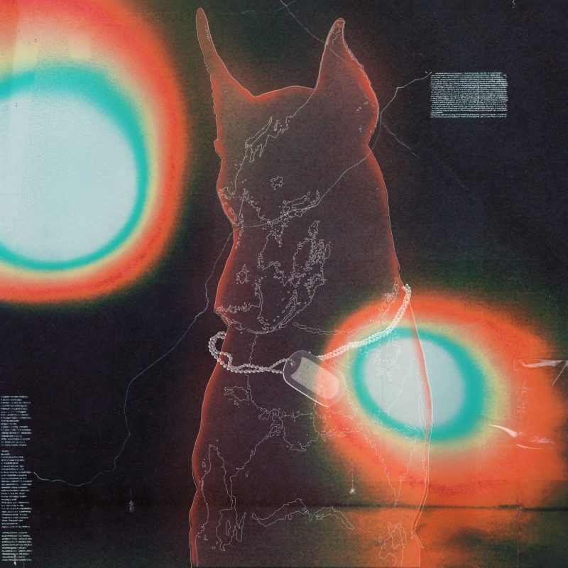 « LICK! » : WOOF repousse les limites du son brut et raffiné