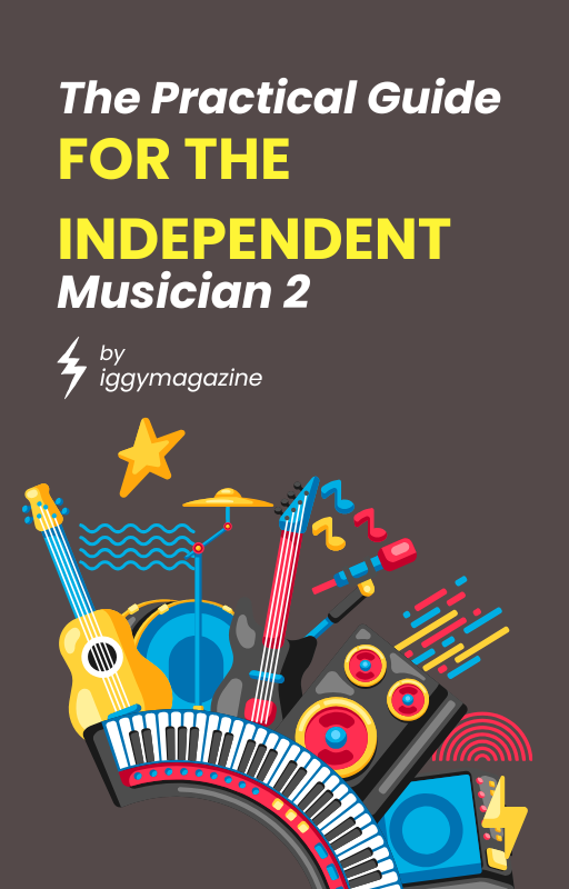 The Practical Guide for the Independent Musician 2