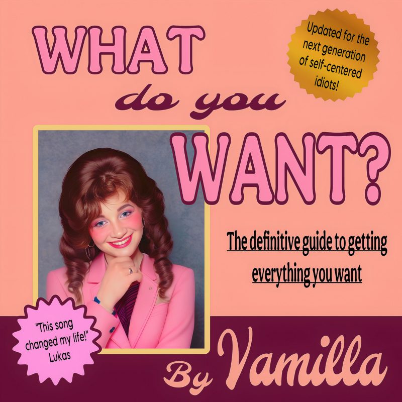 « What Do You Want? » : Vamilla, manifeste pop d’une époque désenchantée