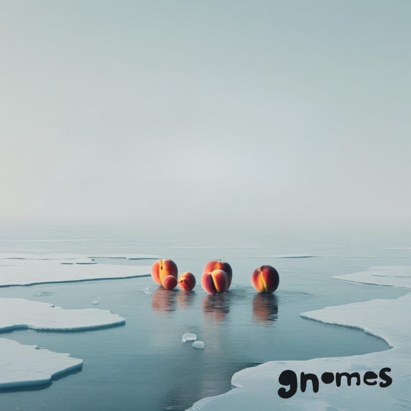 Gnomes – Microclimbs, une échappée belle dans les climats de l’âme