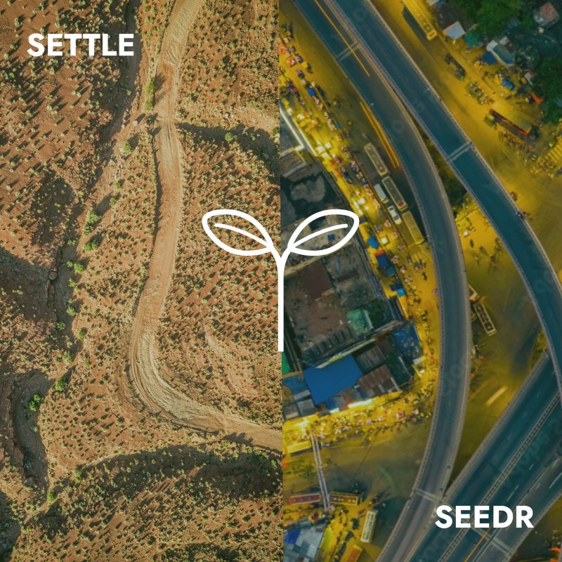 SEEDR – Trouver l’ancrage dans le tumulte avec « Settle »