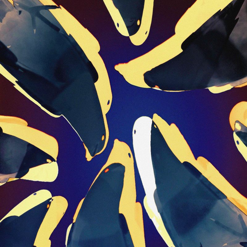 Stimming, Latteo et l’alchimie d’« Keys Don’t Match »