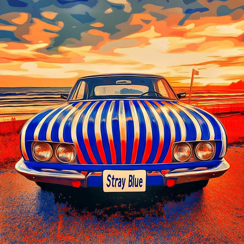 Stray Blue : vingt ans de sincérité musicale dans « Wake Up & Smile – Acoustic Version