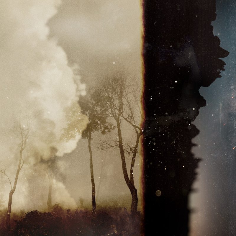 « … før de spredtes » de Tomas Raae : un voyage sensible entre traditions nordiques et modernité