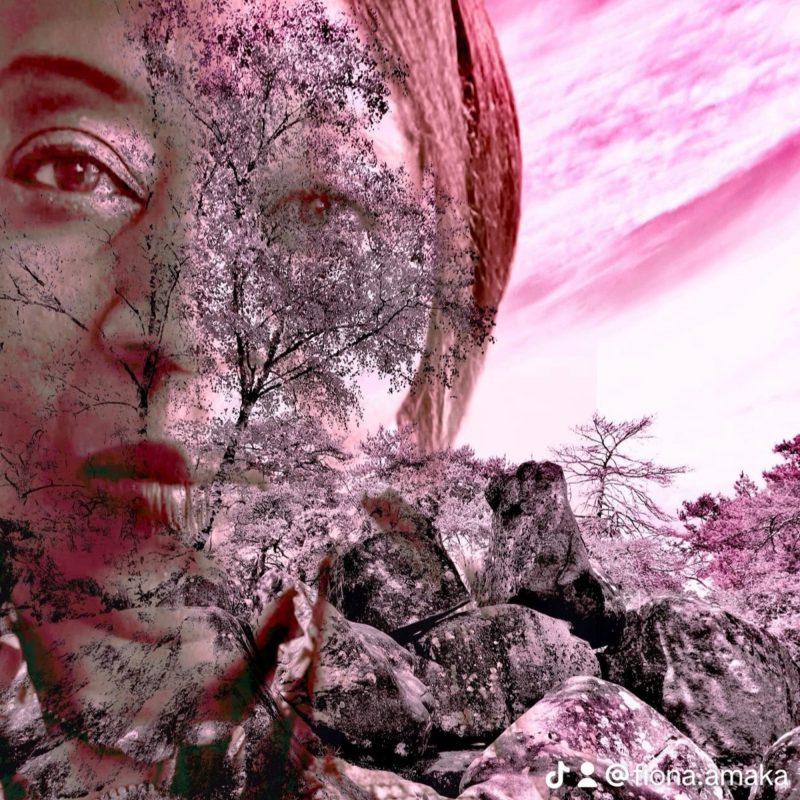 Fiona Amaka rallume la flamme avec « No Daylight »