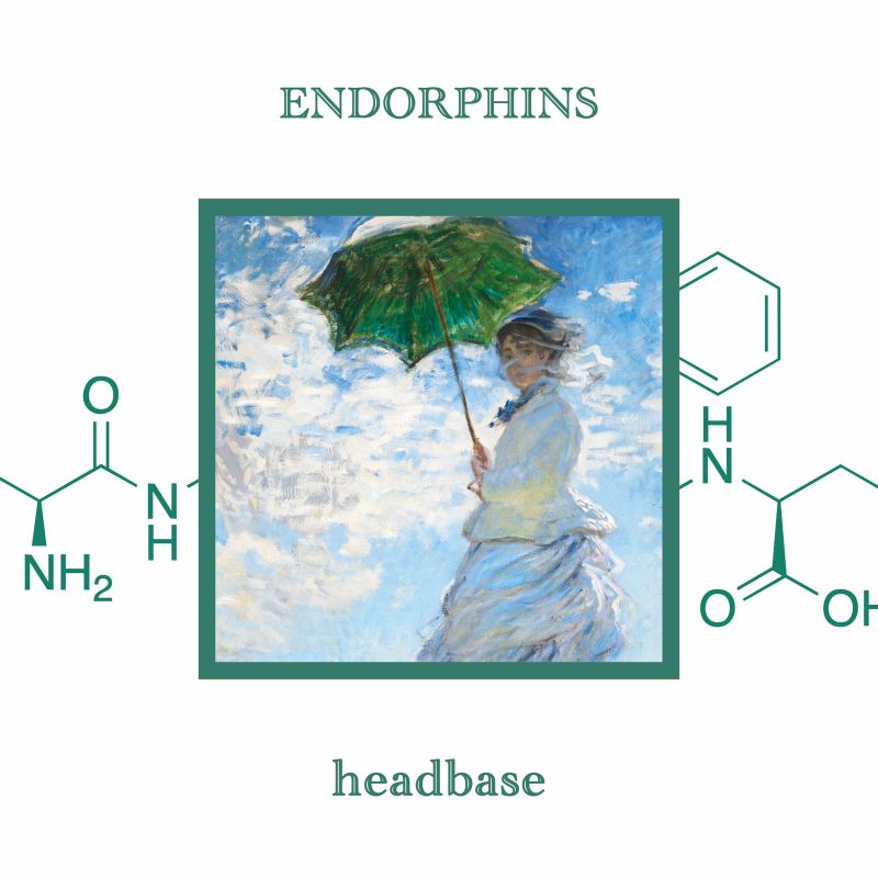 Headbase nous emmène en apesanteur avec « Endorphins »