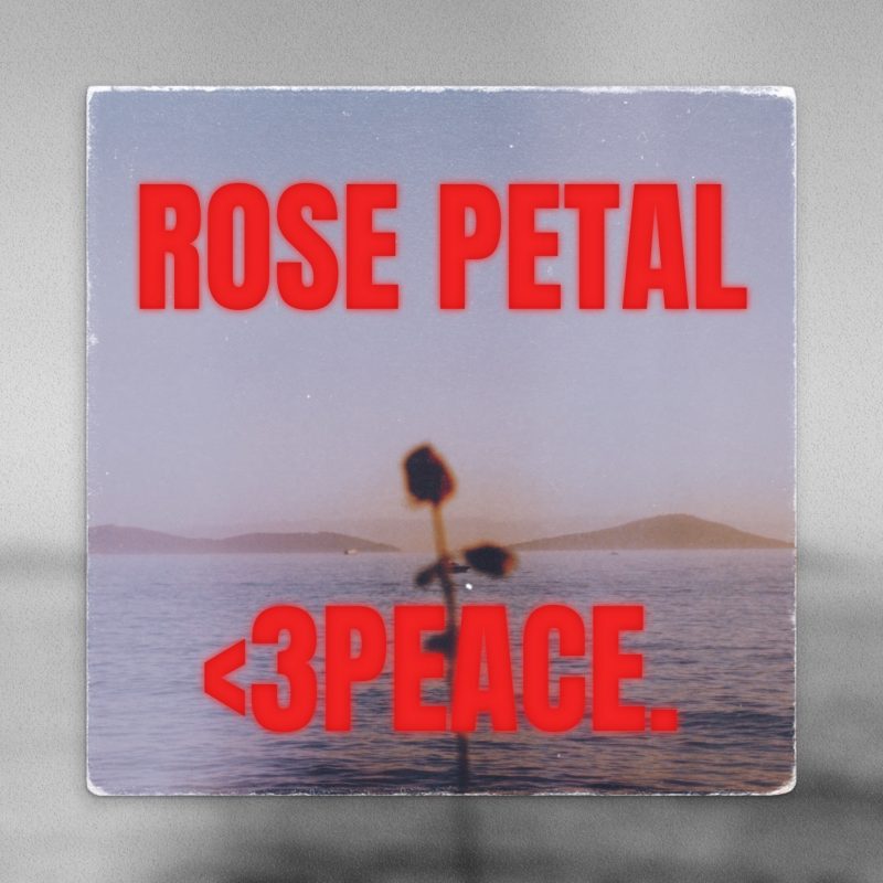 <3peace et l’éclosion spirituelle de “ROSE PETAL”