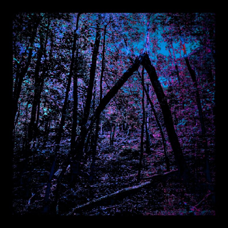 Plongée nocturne avec CATBEAR : “Darkness”