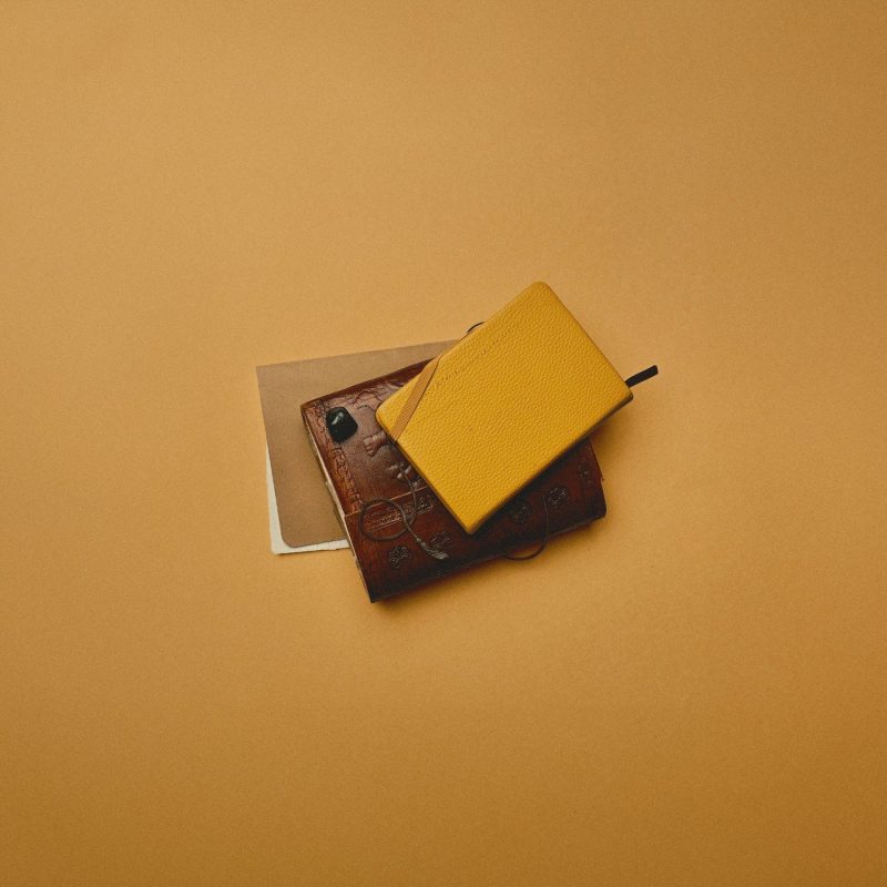 Paige dévoile Tragedy, une ballade pop-folk à la fois douce et déchirante