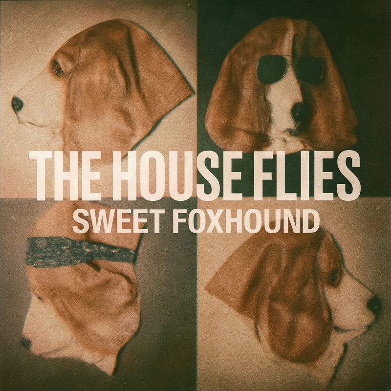 The House Flies hypnotisent avec “Sweet Foxhound”