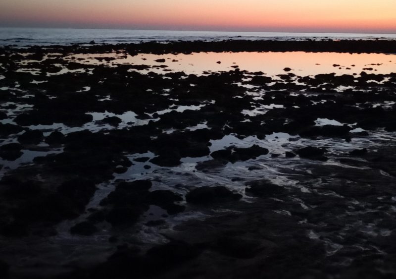 Close To The Sun : le vertige de Londres dans « The Song Of Nothing »