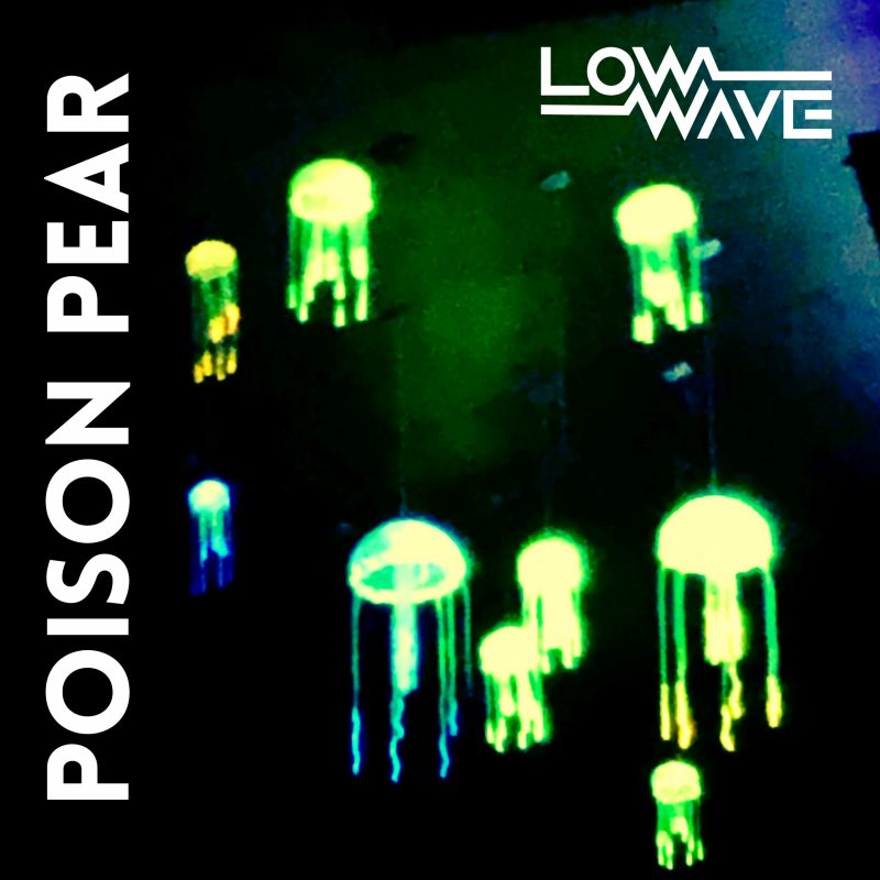 Low Wave — « Poison Pear » : la morsure douce du renouveau