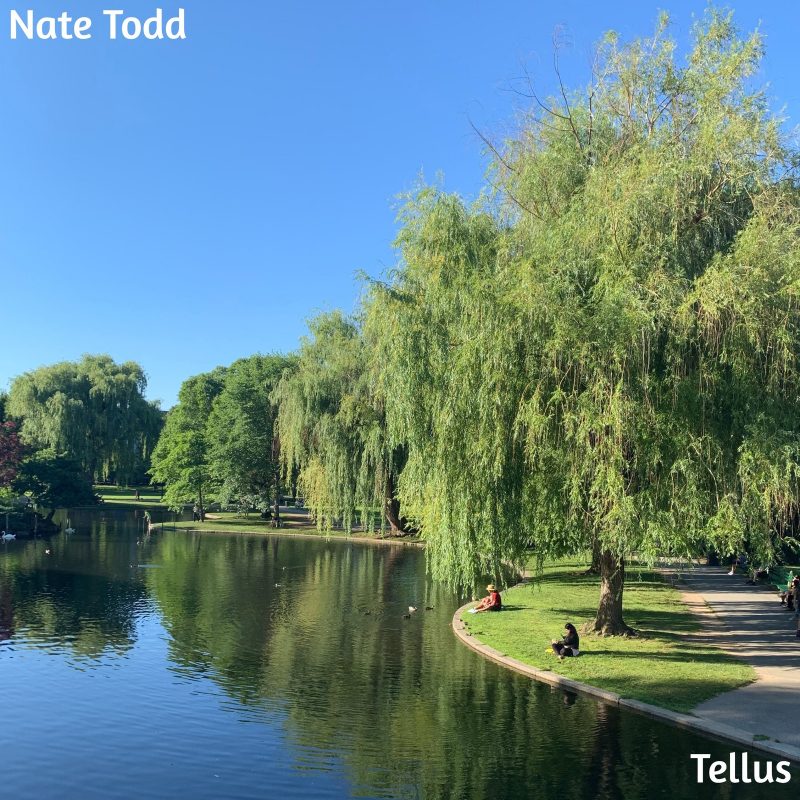 Nate Todd explore une Terre cosmique avec « Tellus »