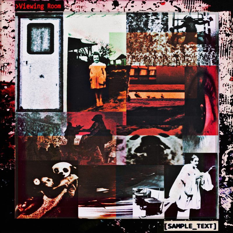 « Viewing Room » de [SAMPLE_TEXT] : le cri rock d’une époque en crise
