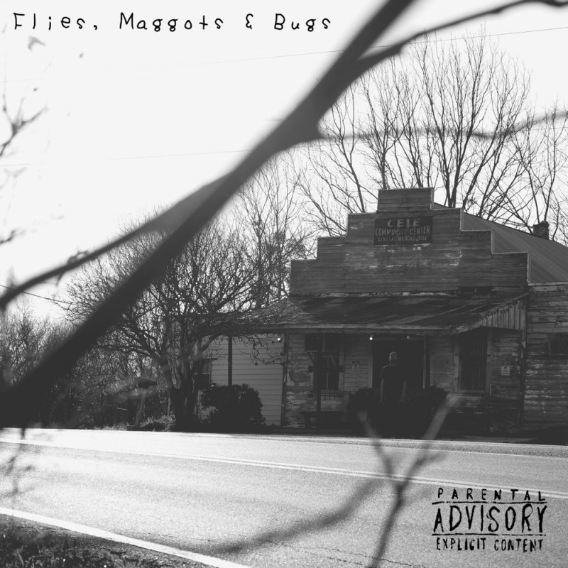 Trizz et Twisted Insane plongent dans l’horreur sonore avec « Flies, Maggots & Bugs »