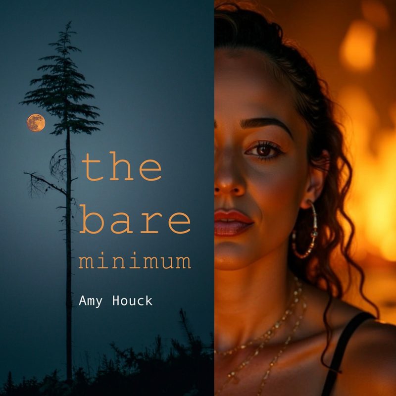 Quand la douceur devient force : « the bare minimum » de Amy Houck