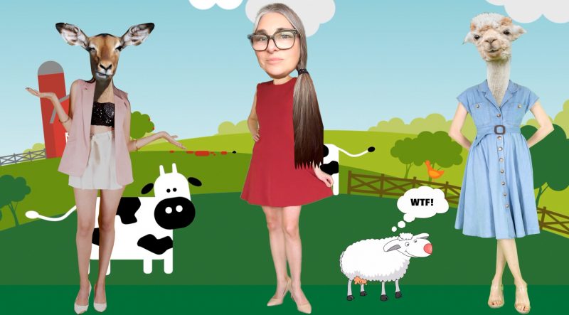 « Amis Électriques » : Energy Whores et la solitude connectée