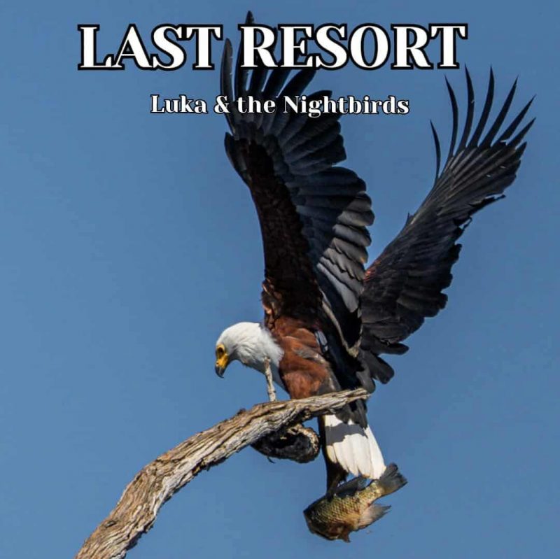 Luka & the Nightbirds : « Last Resort » , l’album qui respire le vrai