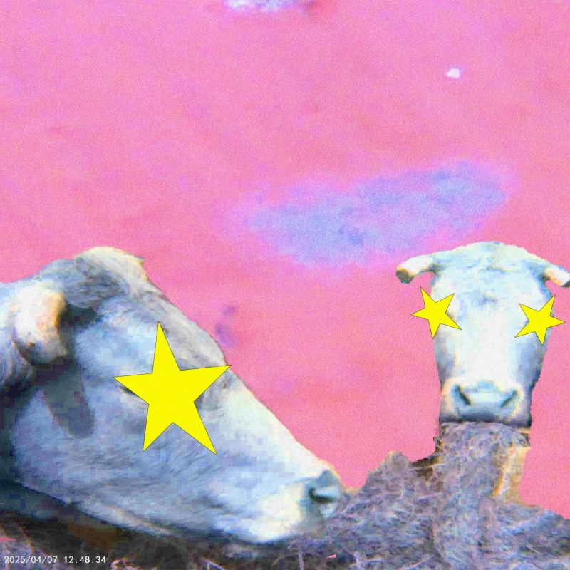 Sell Everything dévoile “Star Girl” avec Patricia Lalor : un slow-dance synthétique entre charme et hésitation 