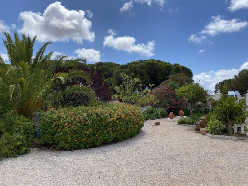 Scott’s Tees capture l’urgence et l’émotion avec « We Move As Fast As Storms Allow » 