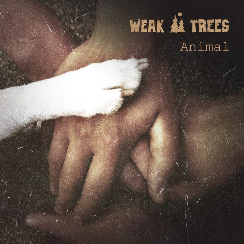 Dans la forêt finlandaise, Weak Trees libère son instinct avec “Animal”
