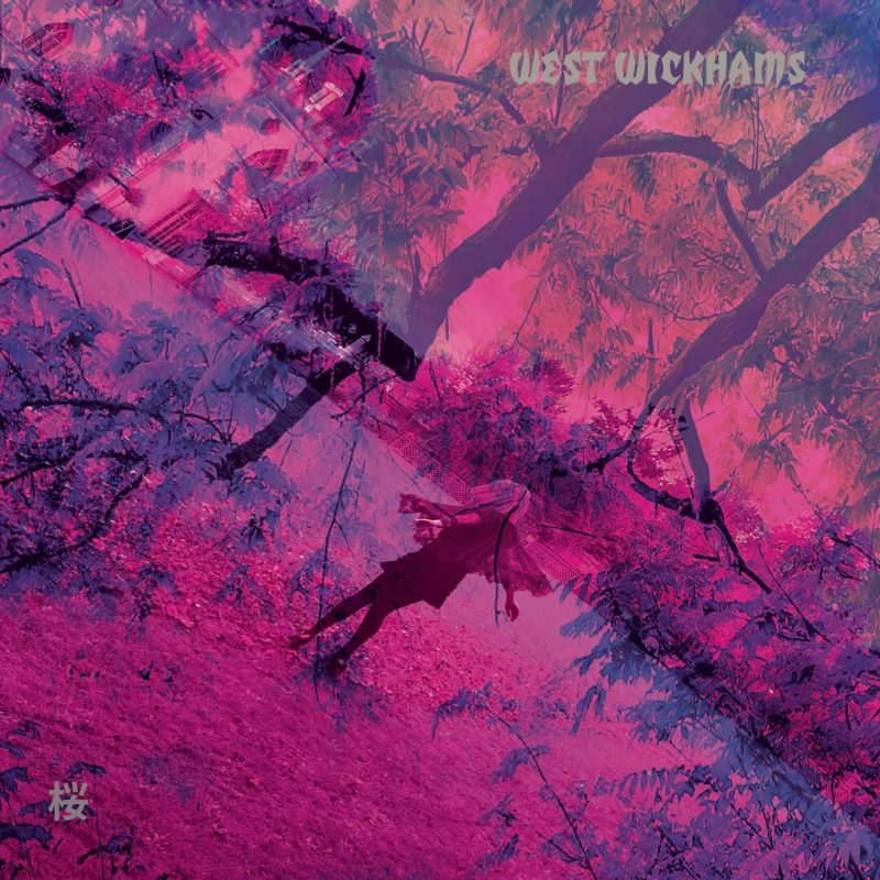 Quand le froid rencontre les fleurs — « Sakura » de West Wickhams, hymne à l’éphémère