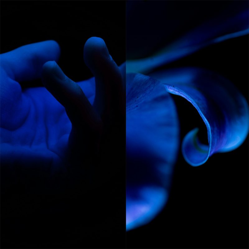 Dj Herz illumine l’hiver avec « Blue Skin »