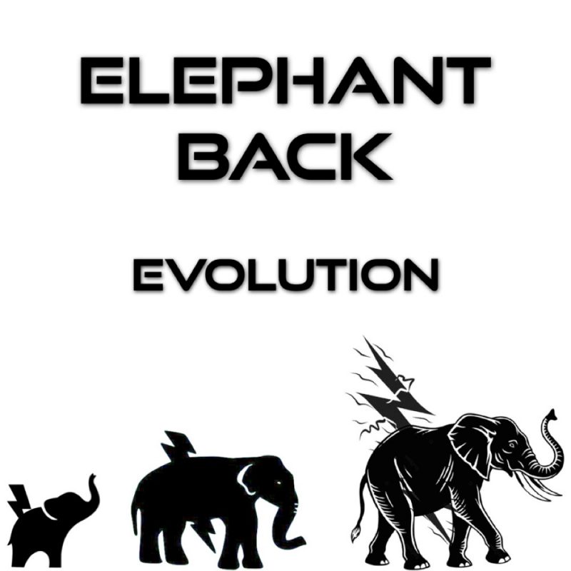 Avec Evolution, Elephant Back transforme la nostalgie en élan