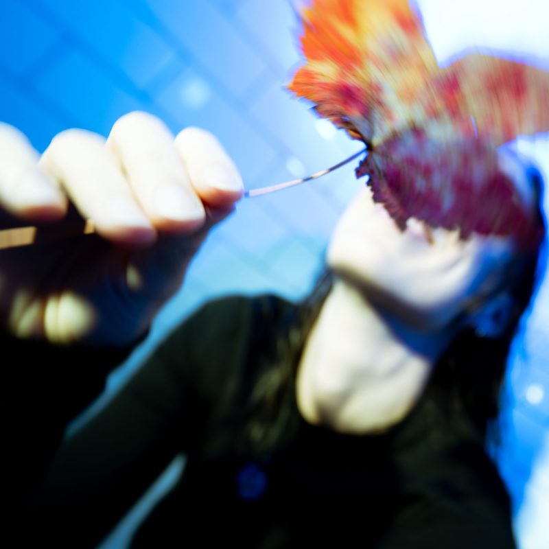 Vitesse X — « Memori » : un voyage entre ici et l’au-delà